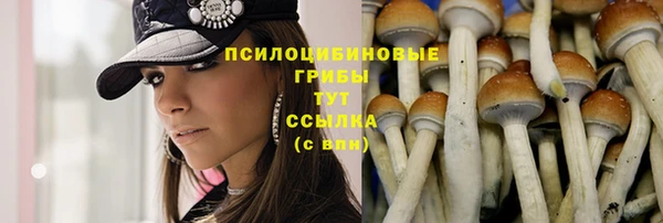 винт Бугульма