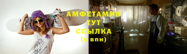 молекула духа Бронницы