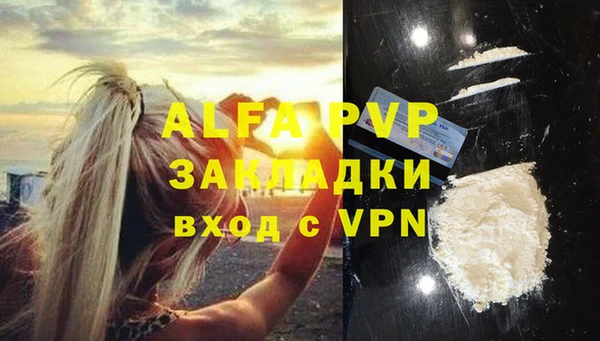 экстази Бородино