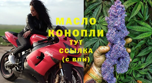 молекула духа Бронницы