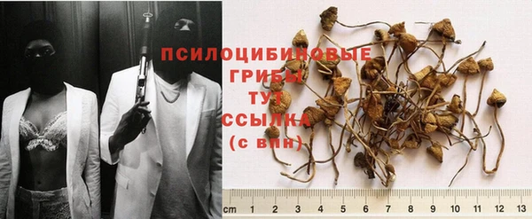 экстази Бородино