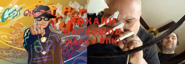 молекула духа Бронницы