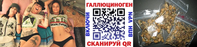 Псилоцибиновые грибы прущие грибы  Фокино 
